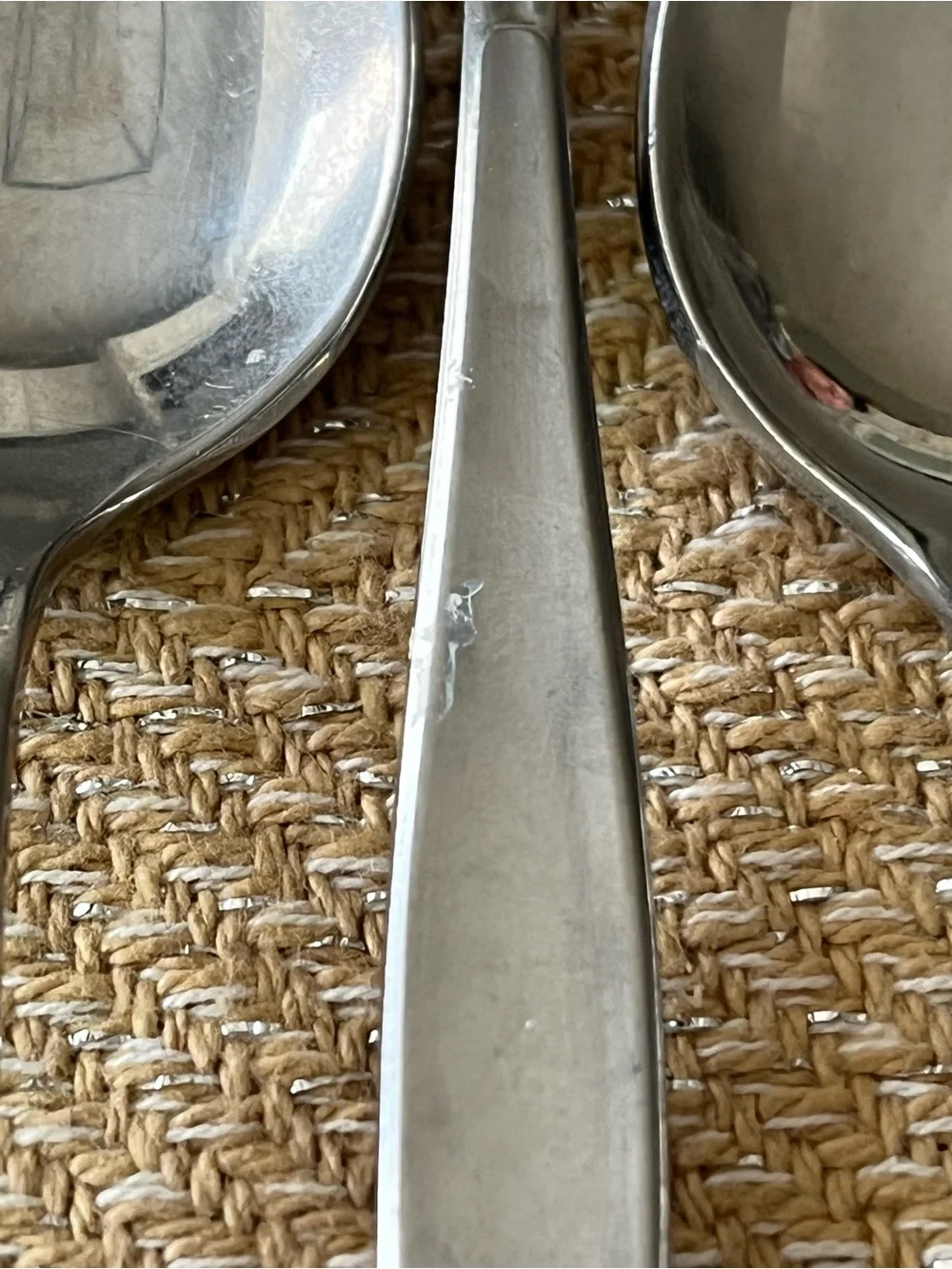 Modern Living (Stainless) Teaspoons (13) by Rogers IS and bonus fork